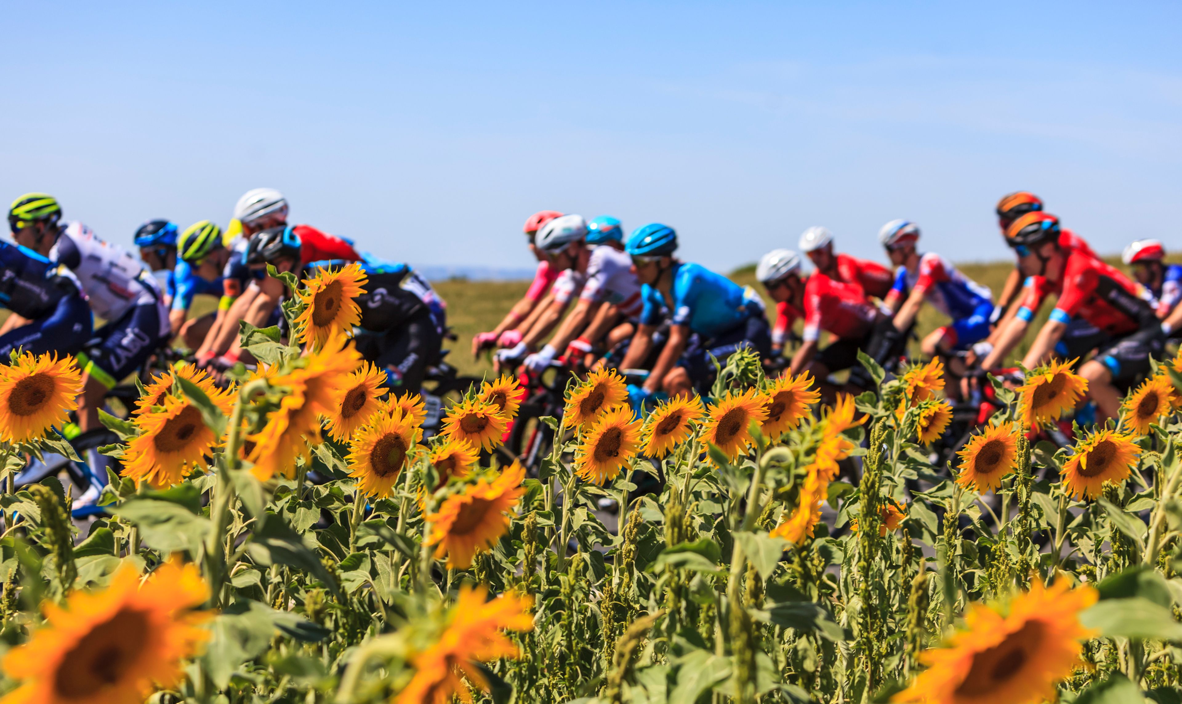 Milovníci cyklistiky letos určitě nevynechají Tour de France.