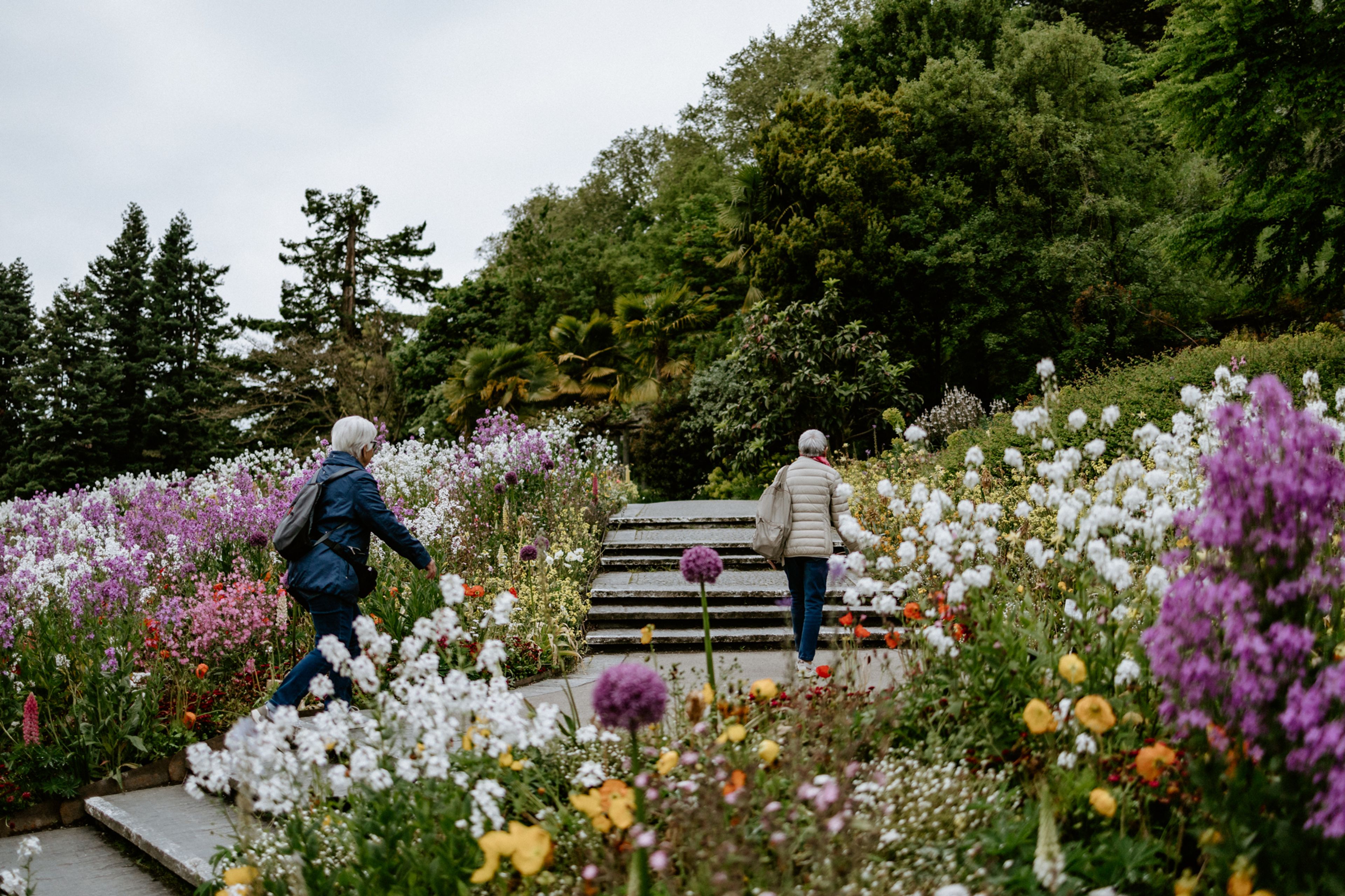 Mainau