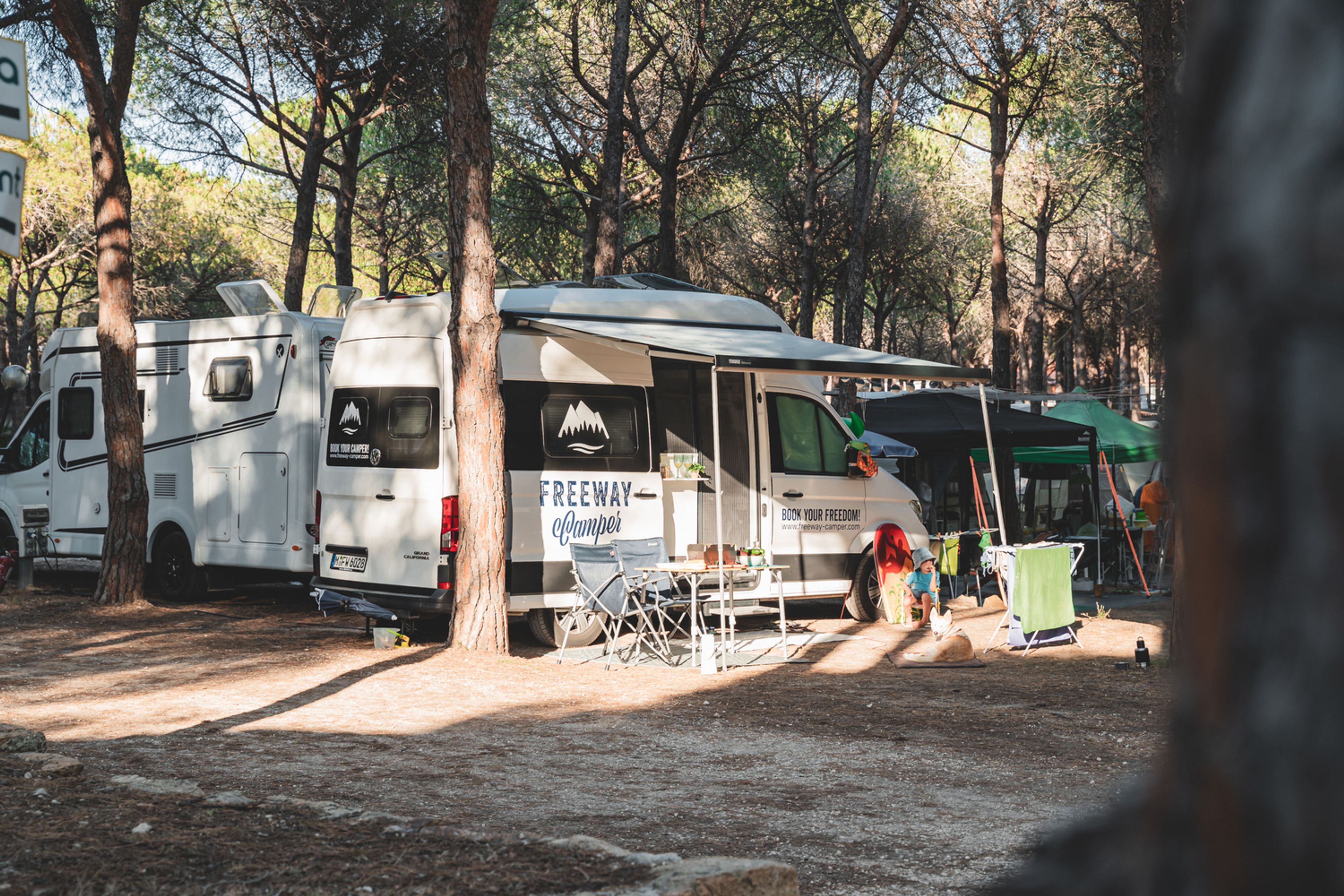 VW Grand California camper in un campeggio tranquillo e confortevole per famiglie tra gli alberi in corsica