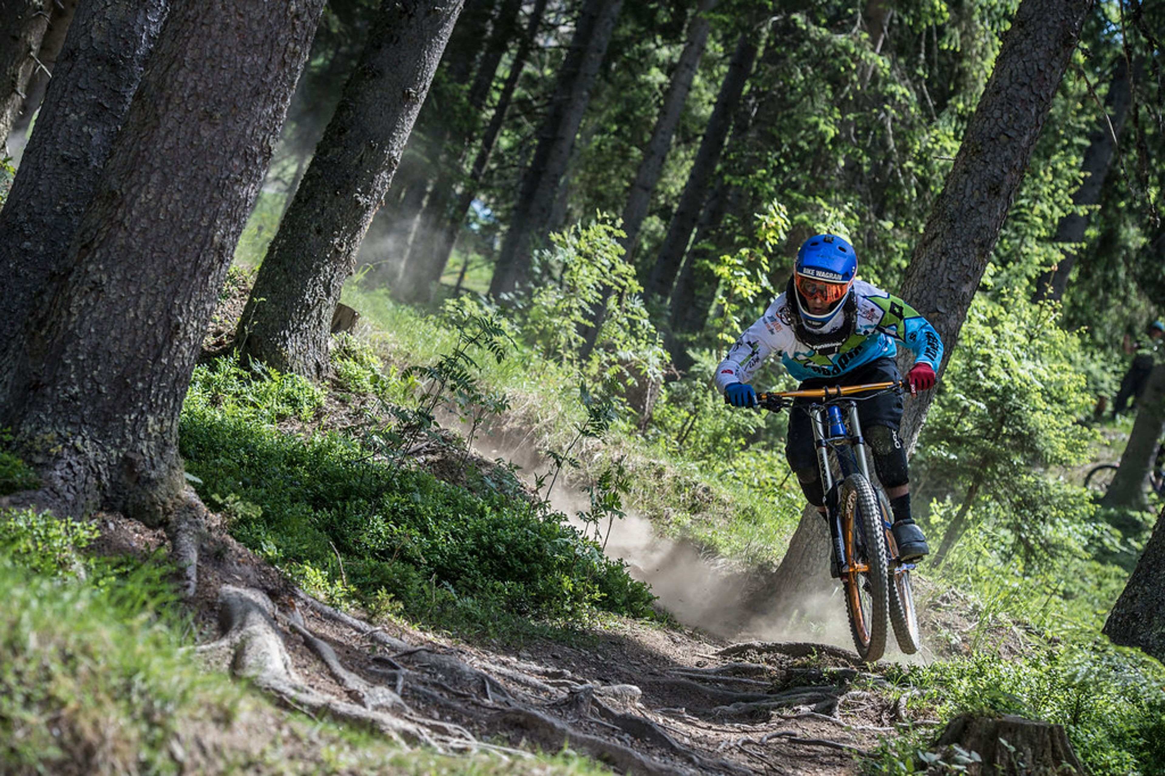 Singltreky a bikeparky Pardubicka: Užijte si adrenalinovou jízdu podle svého gusta