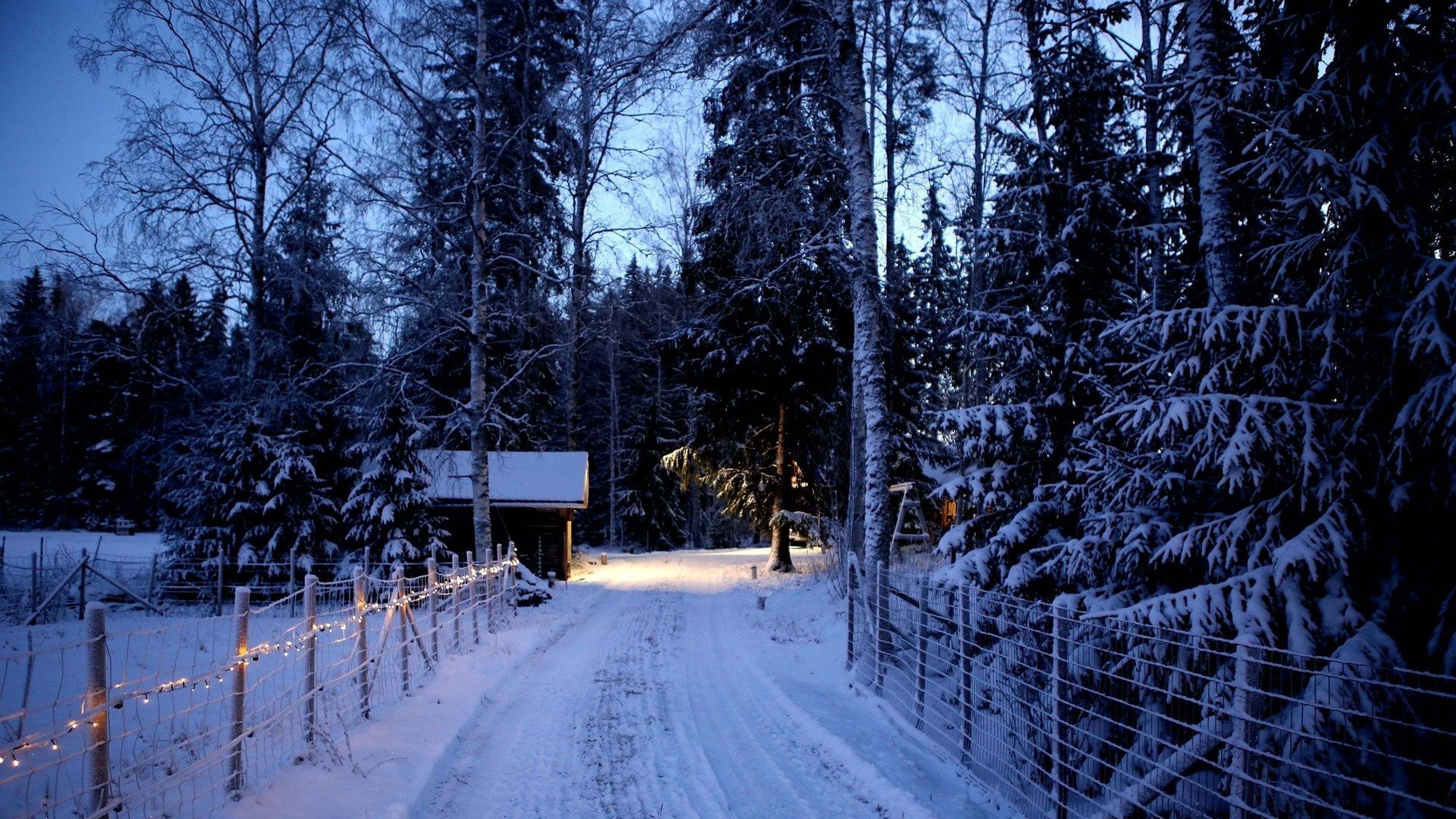 Paesaggio innevato con casetta nel bosco e luci di Natale