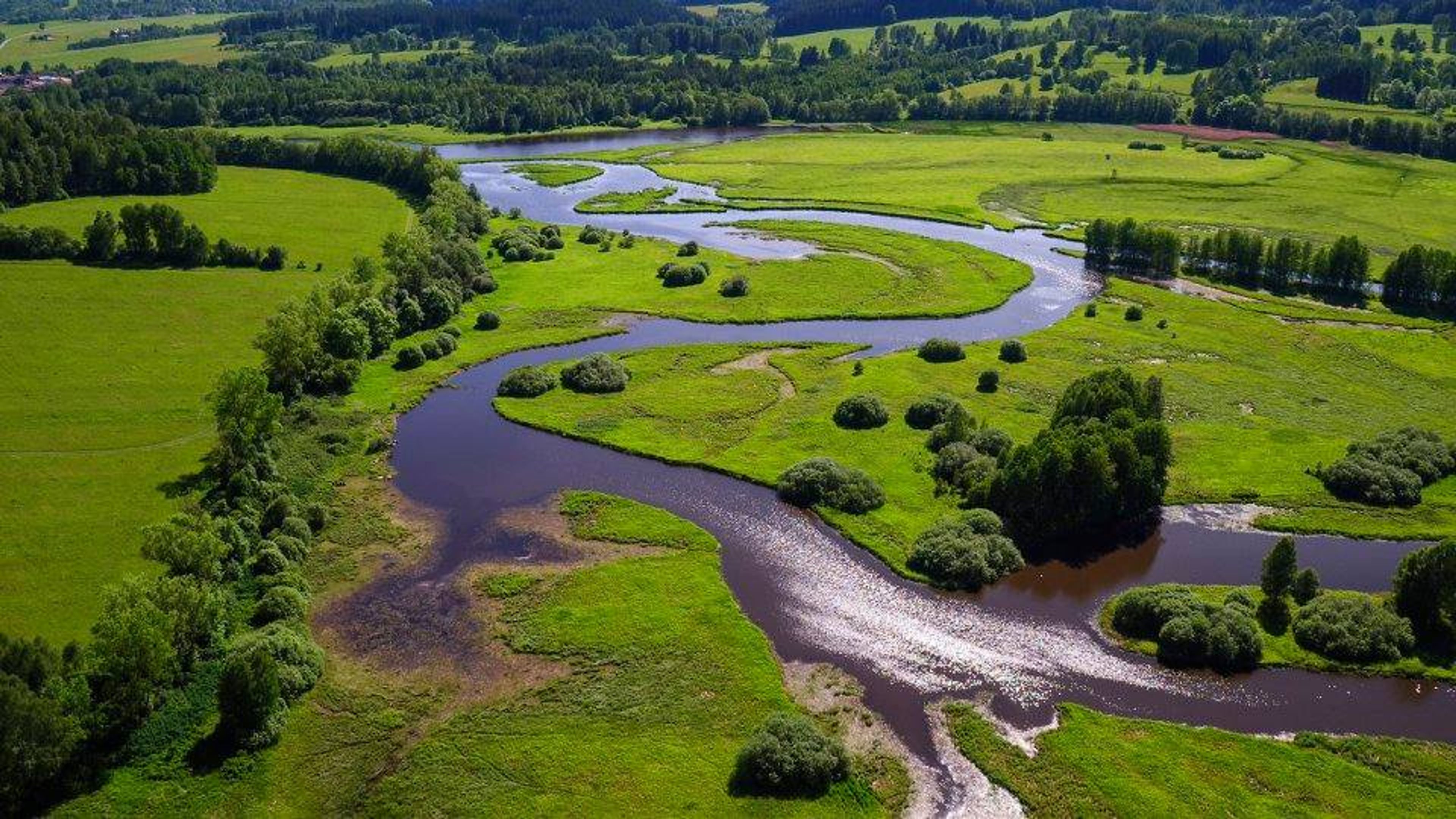 Toulání šumavskou přírodou vás bude bavit.