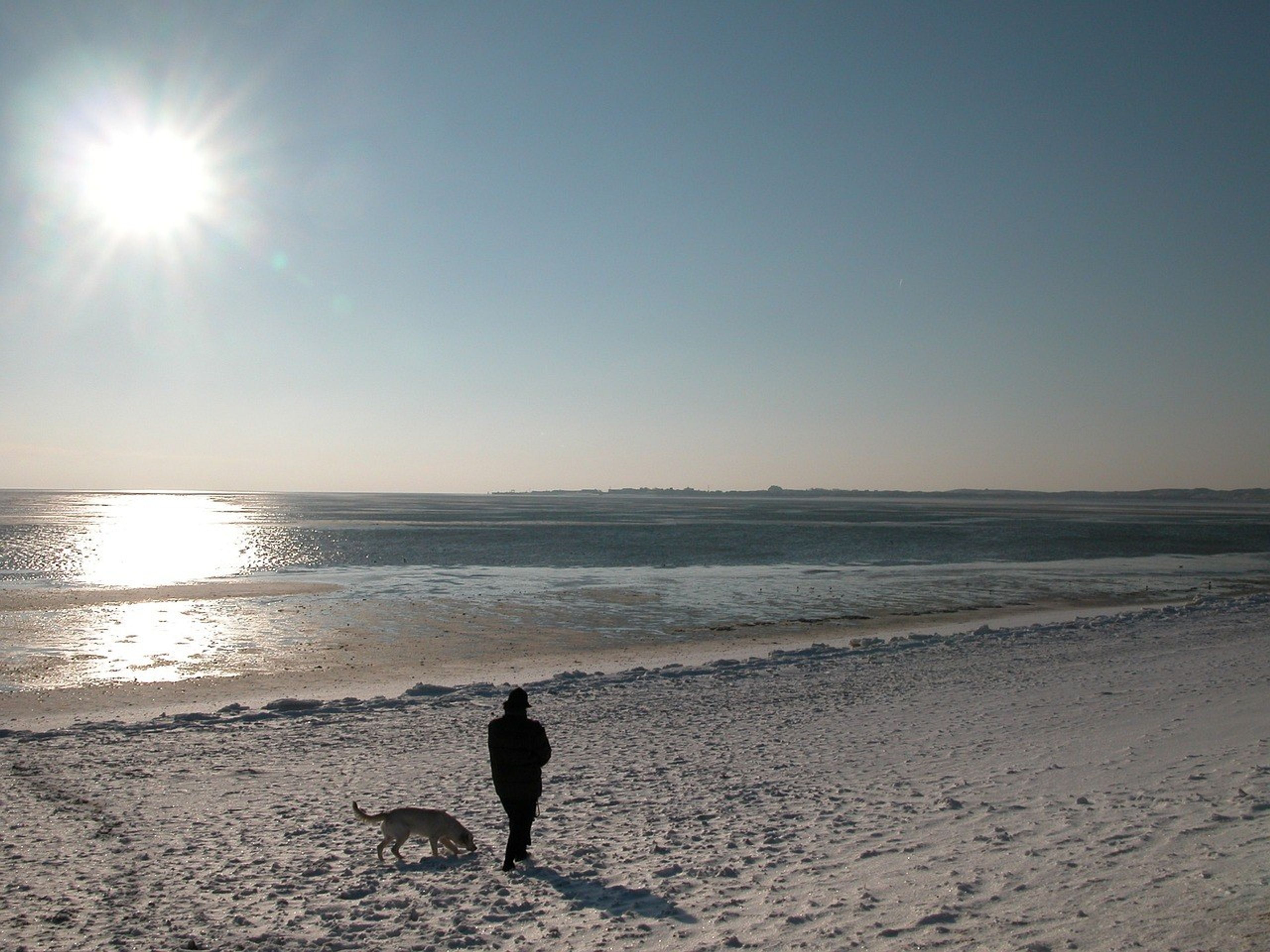 Man with dog on North Sea beach