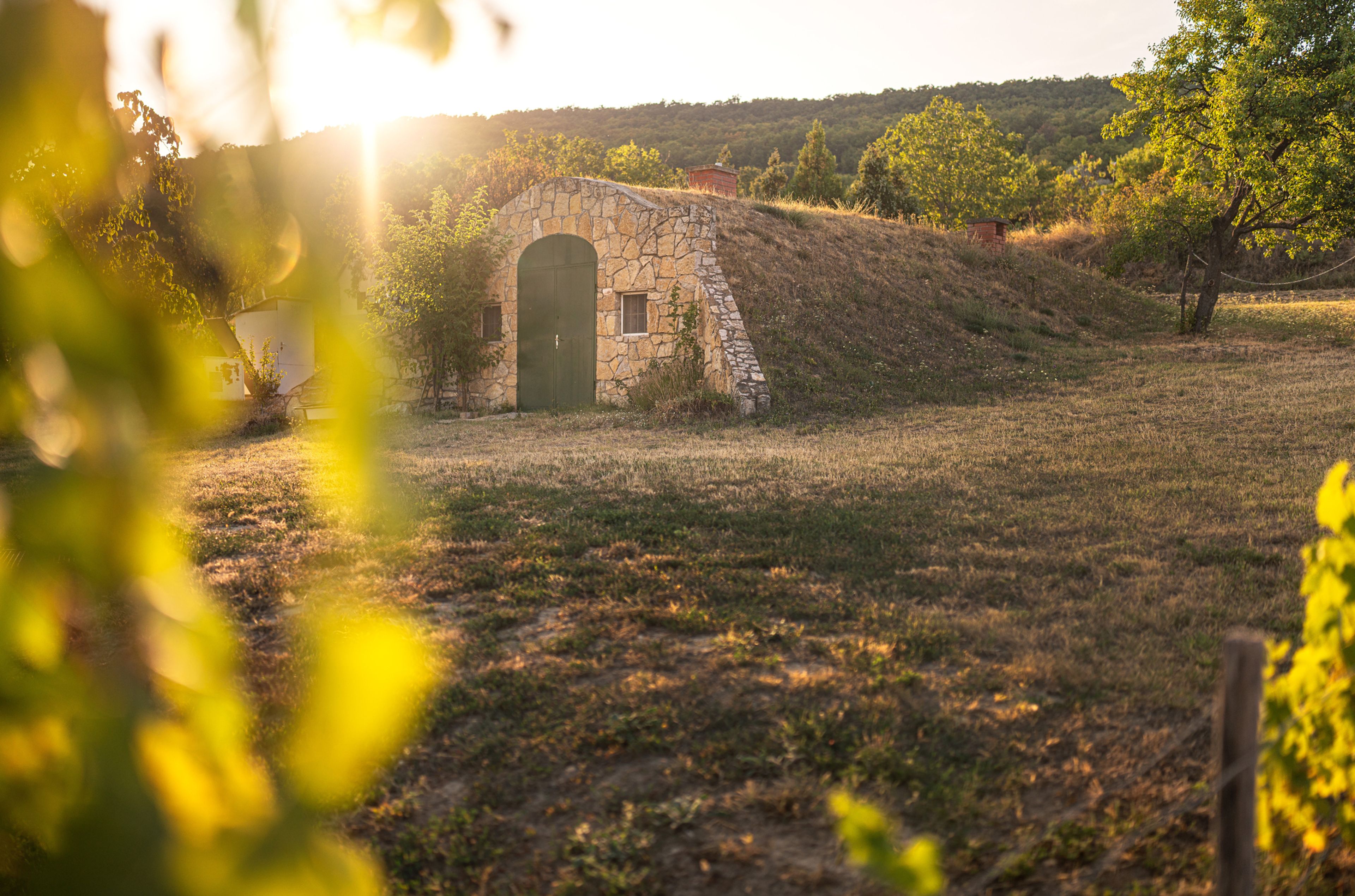 4 tipy na podzimní výlety za vínem. Navštivte okolí Balatonu, Toskánsko nebo Hustopeče