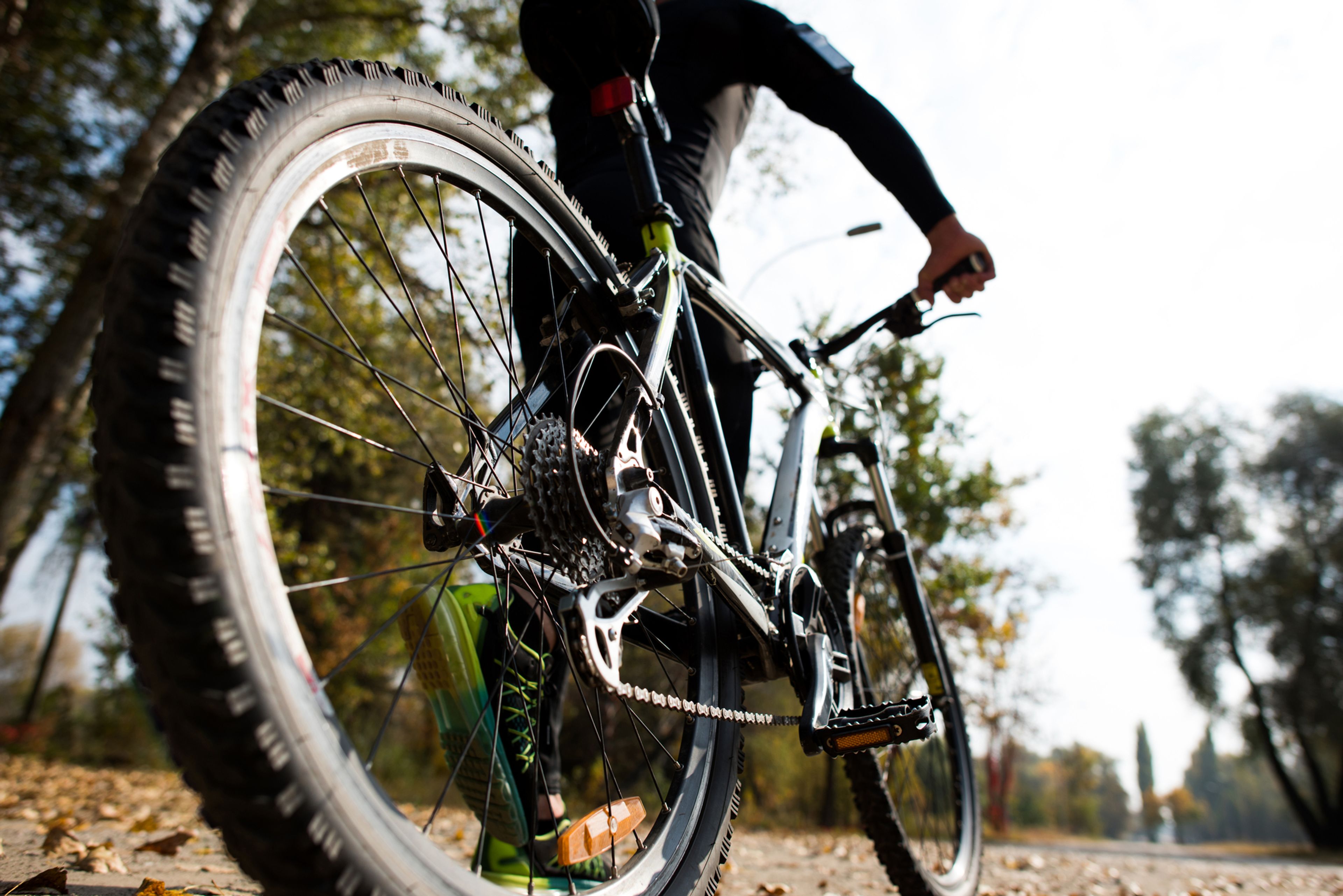 Obytňákem na kolo: Objevte bikeparky a singltreky v jižních Čechách