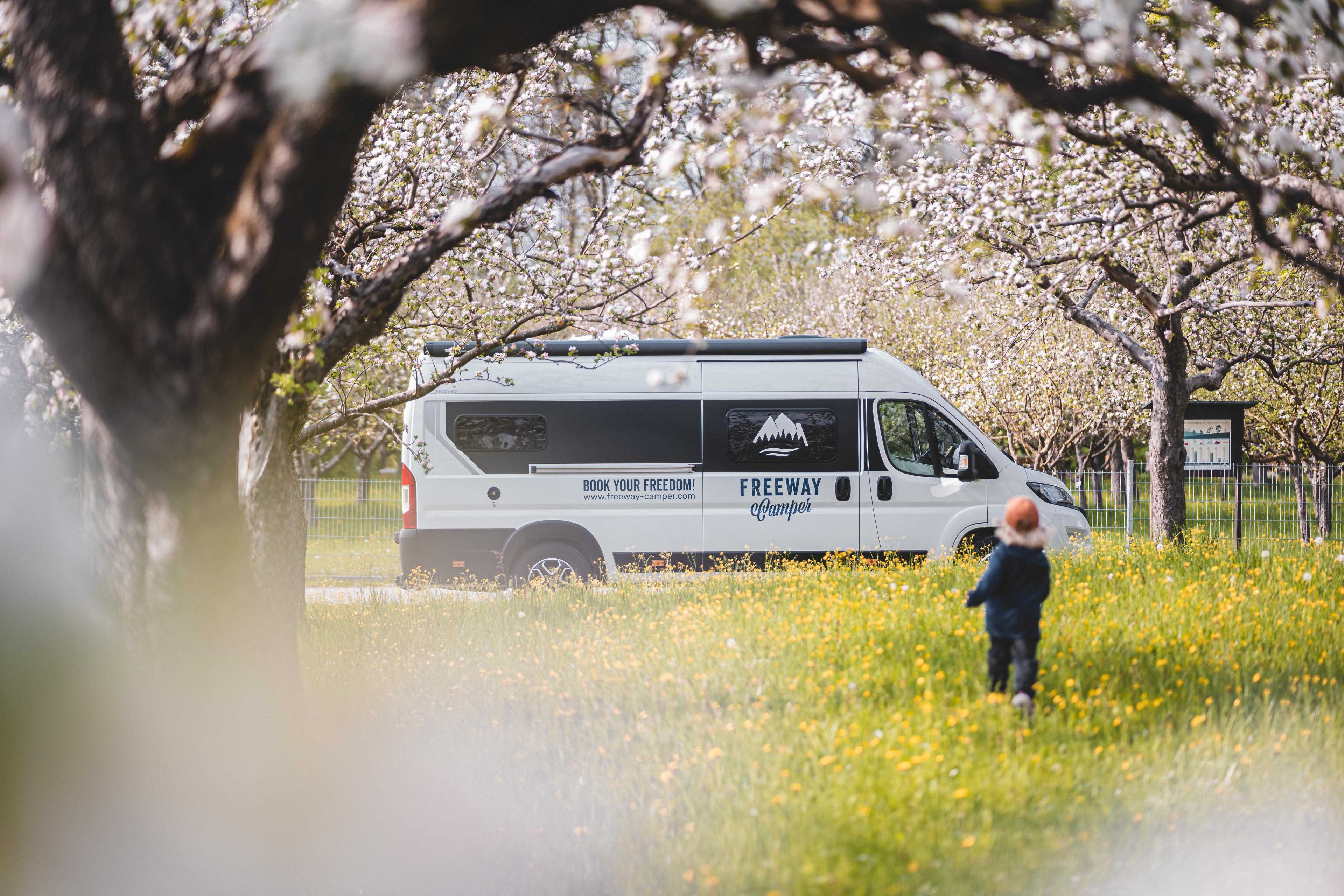 un bambino corre verso il Campervan 640 Moveoo su un prato verde con ciliegi in fiore