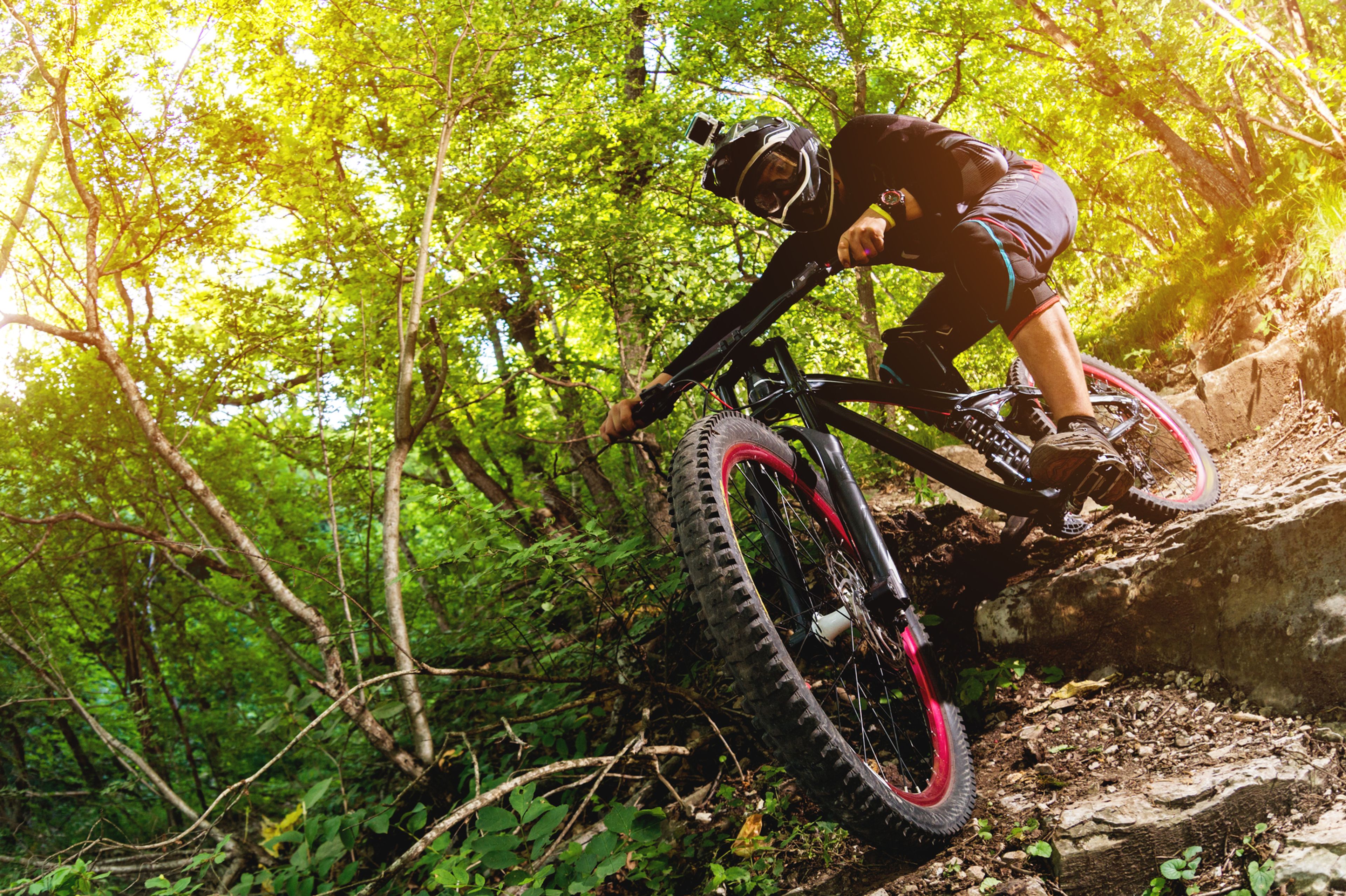 Bikeparky a traily na Plzeňsku: Špičák pro pokročilé i pumptracky pro děti