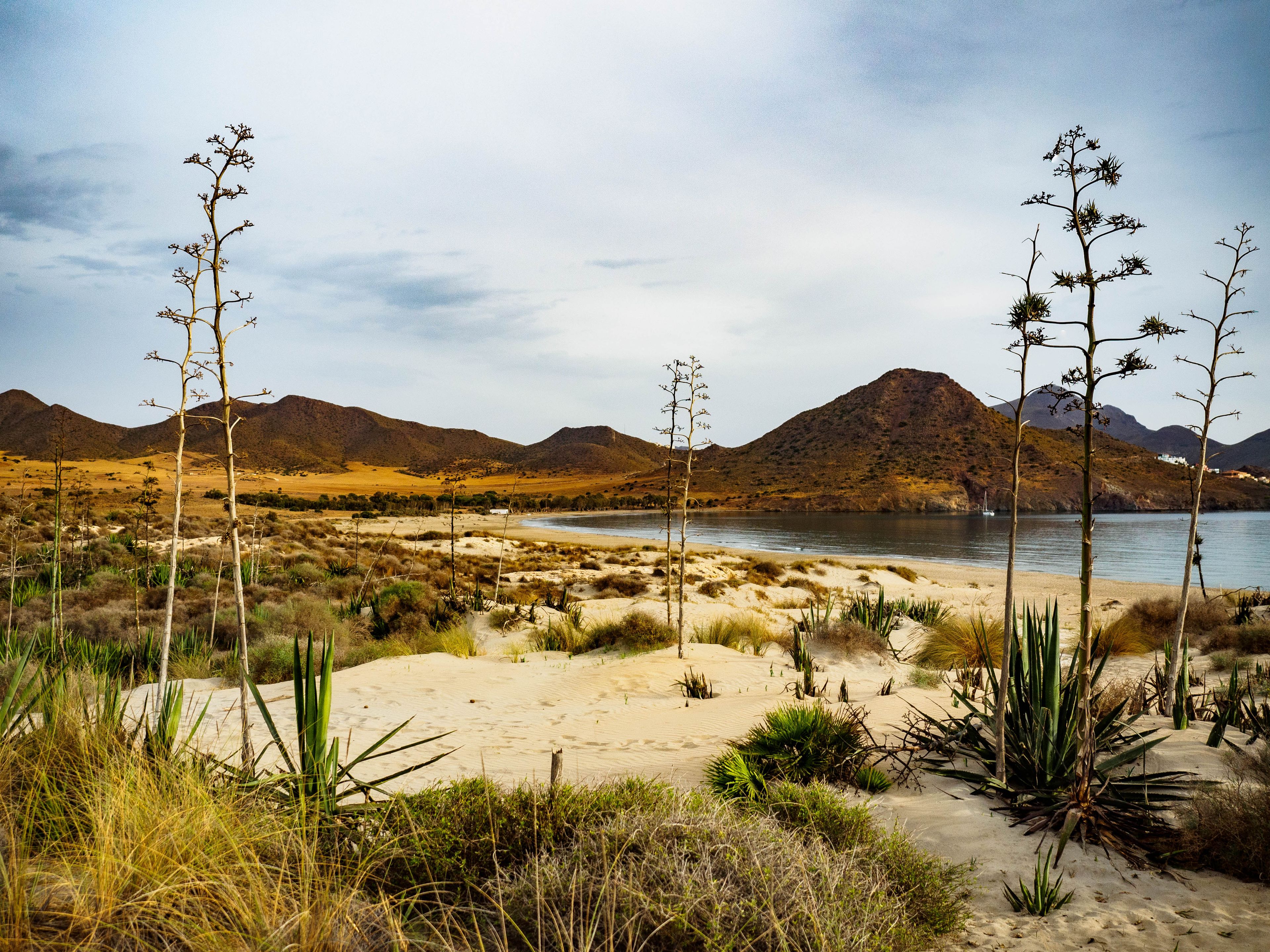 Playa Genoveses