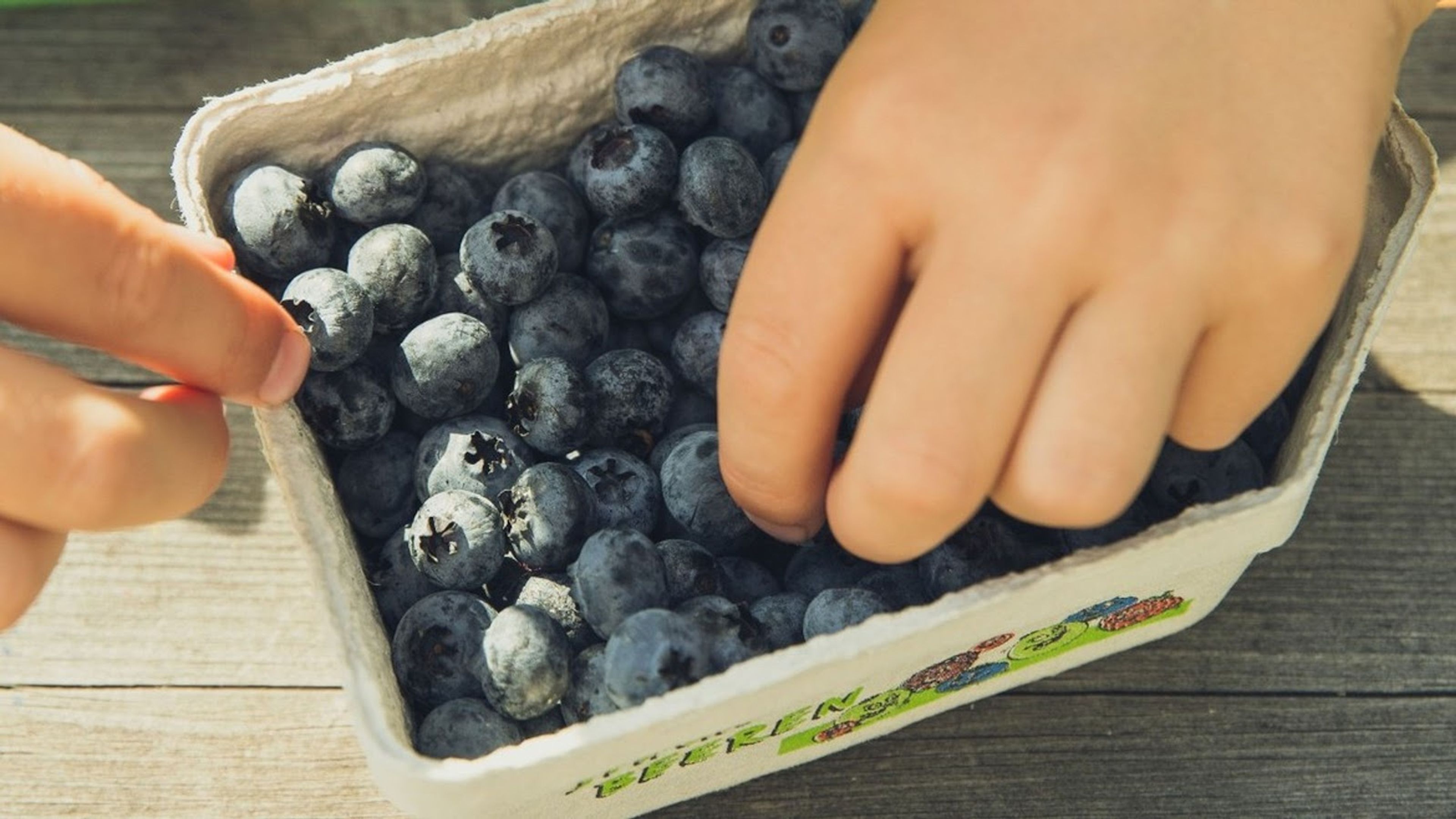 Children eating blueberries
