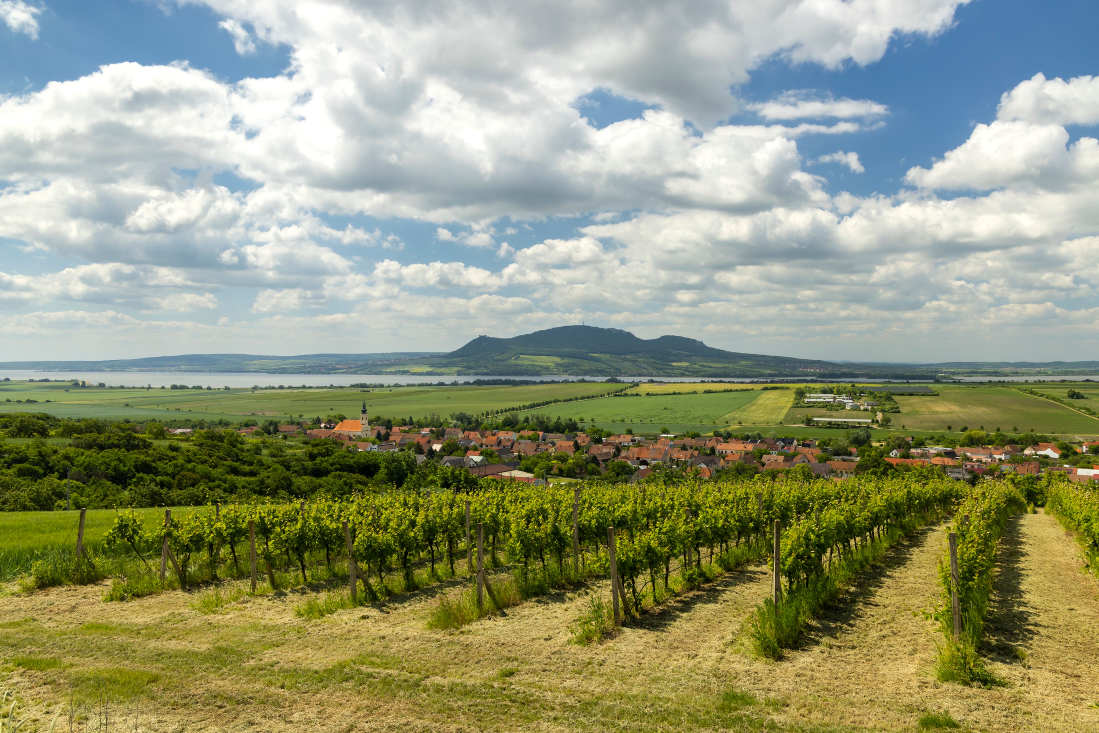 Stellplatz Velké Bílovice