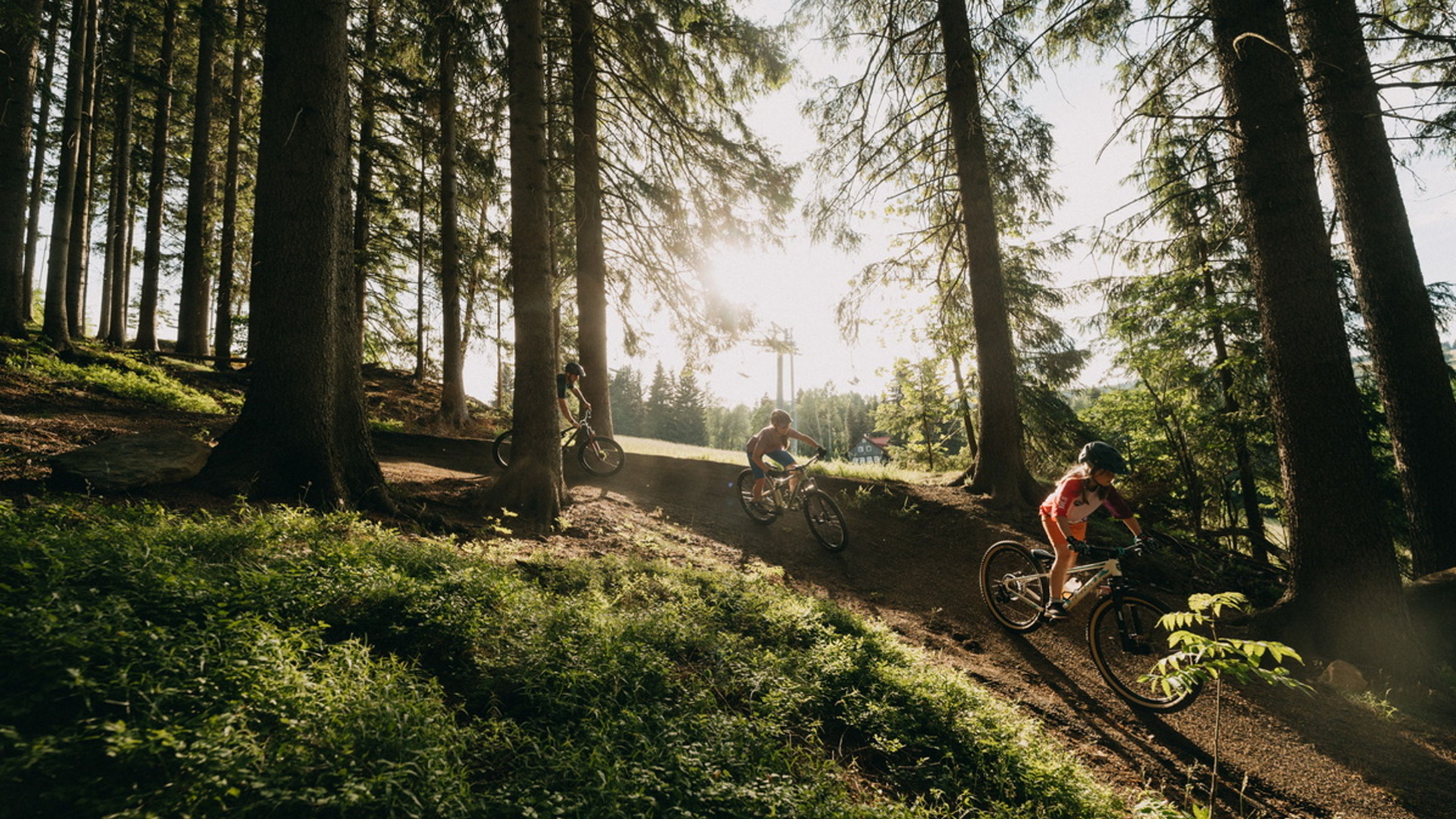 Foto: Bikepark Aldrov Vítkovice