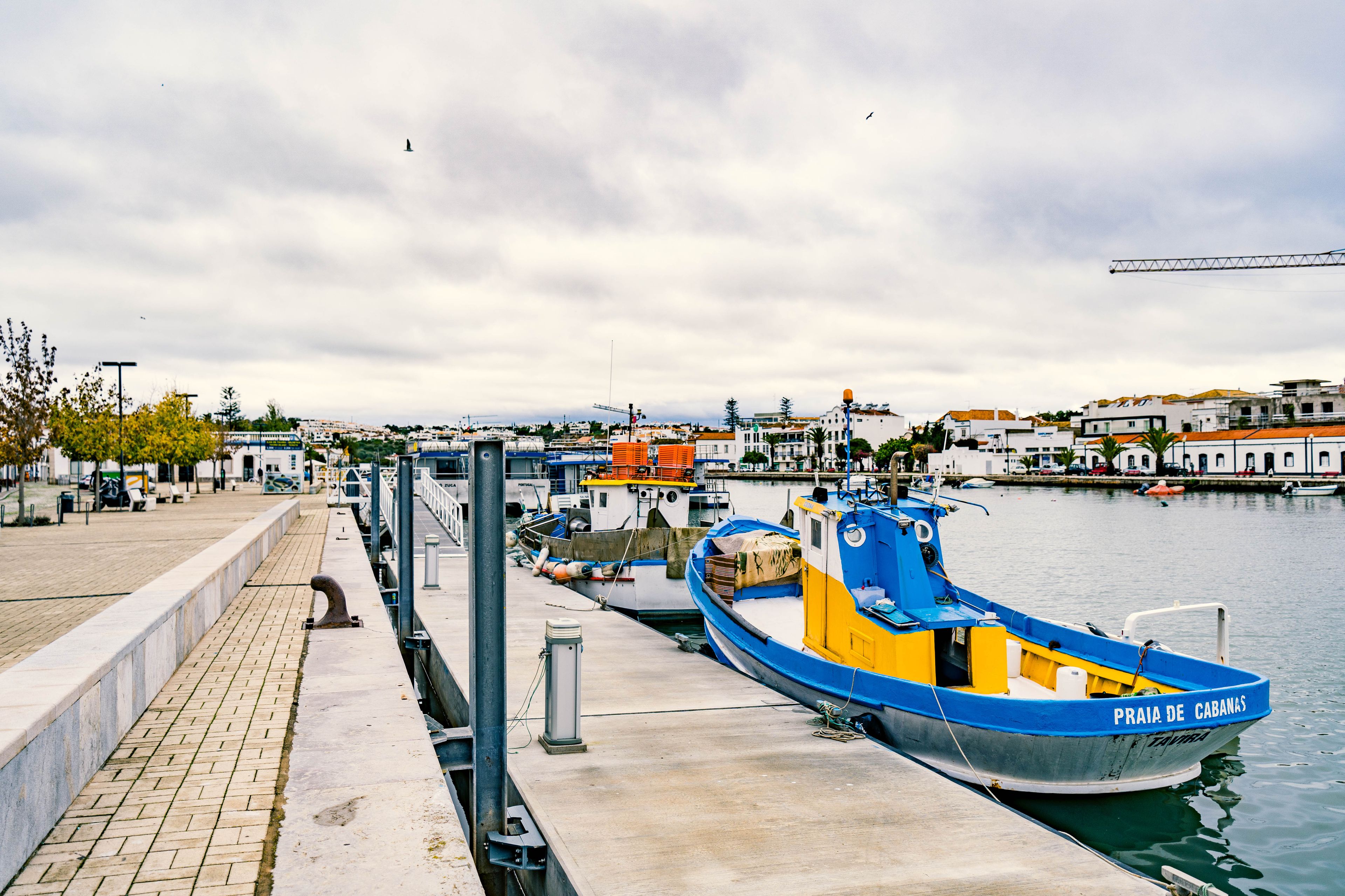 Tavira