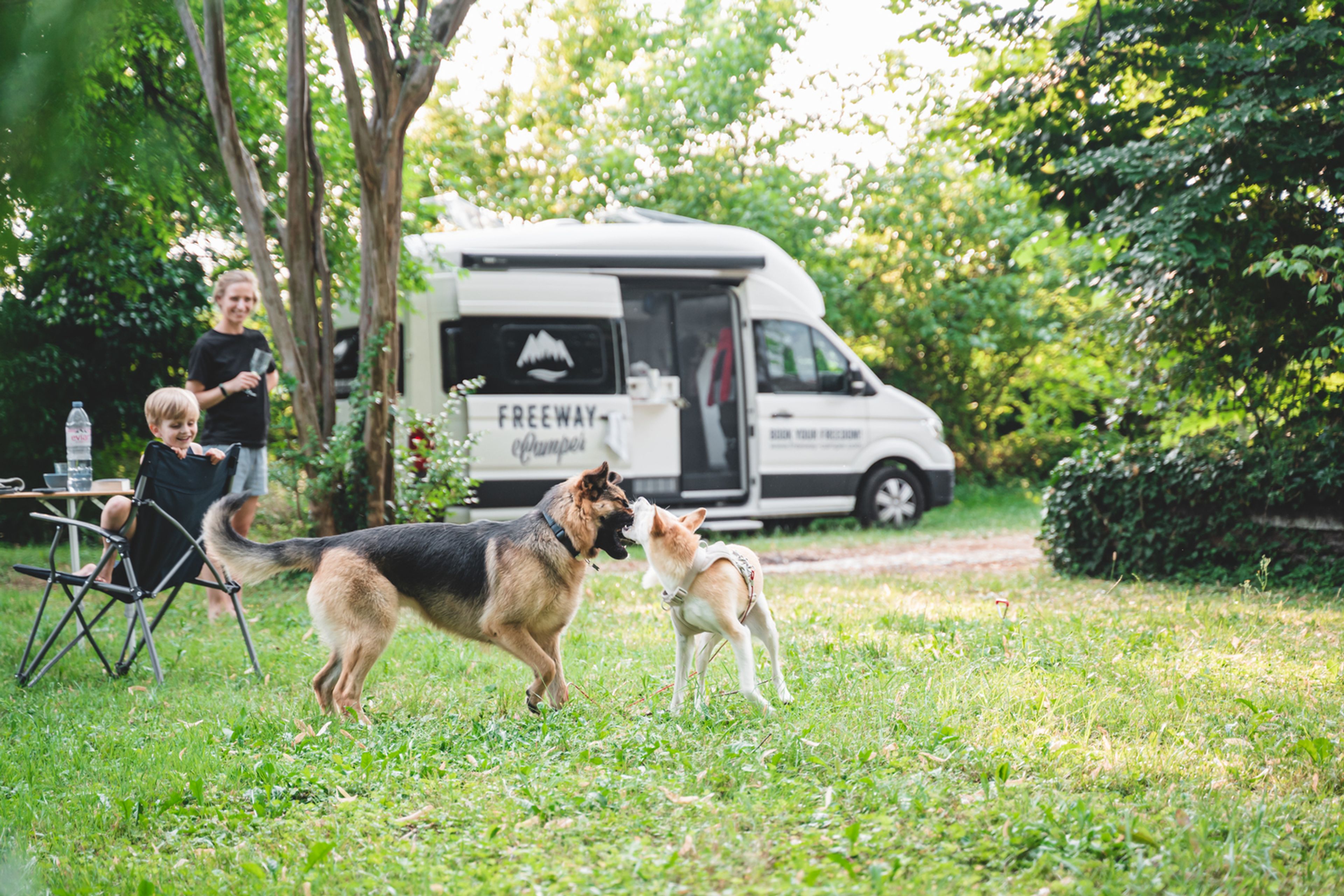 cane gioca vicino al camper