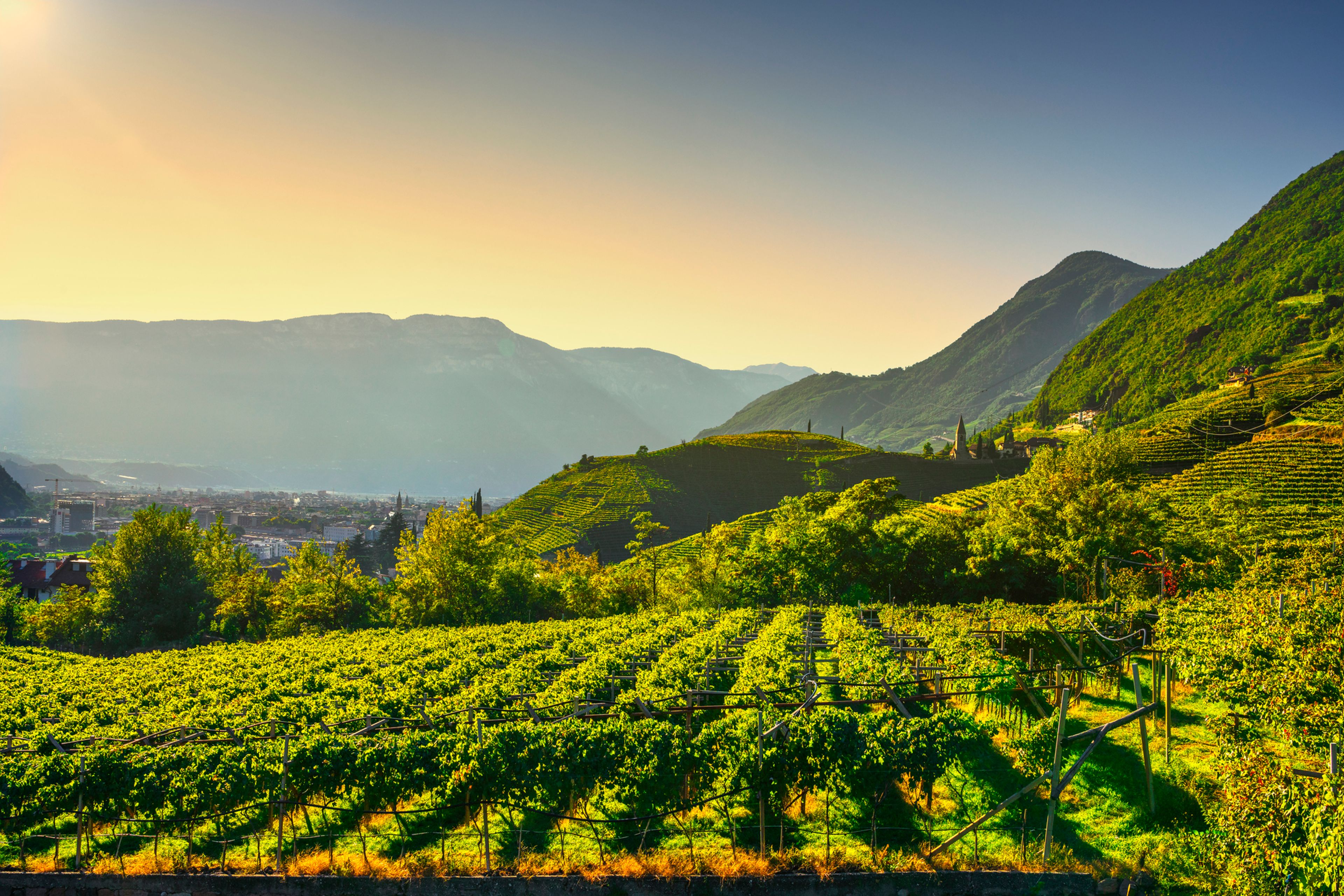 Trentino Alto Adige