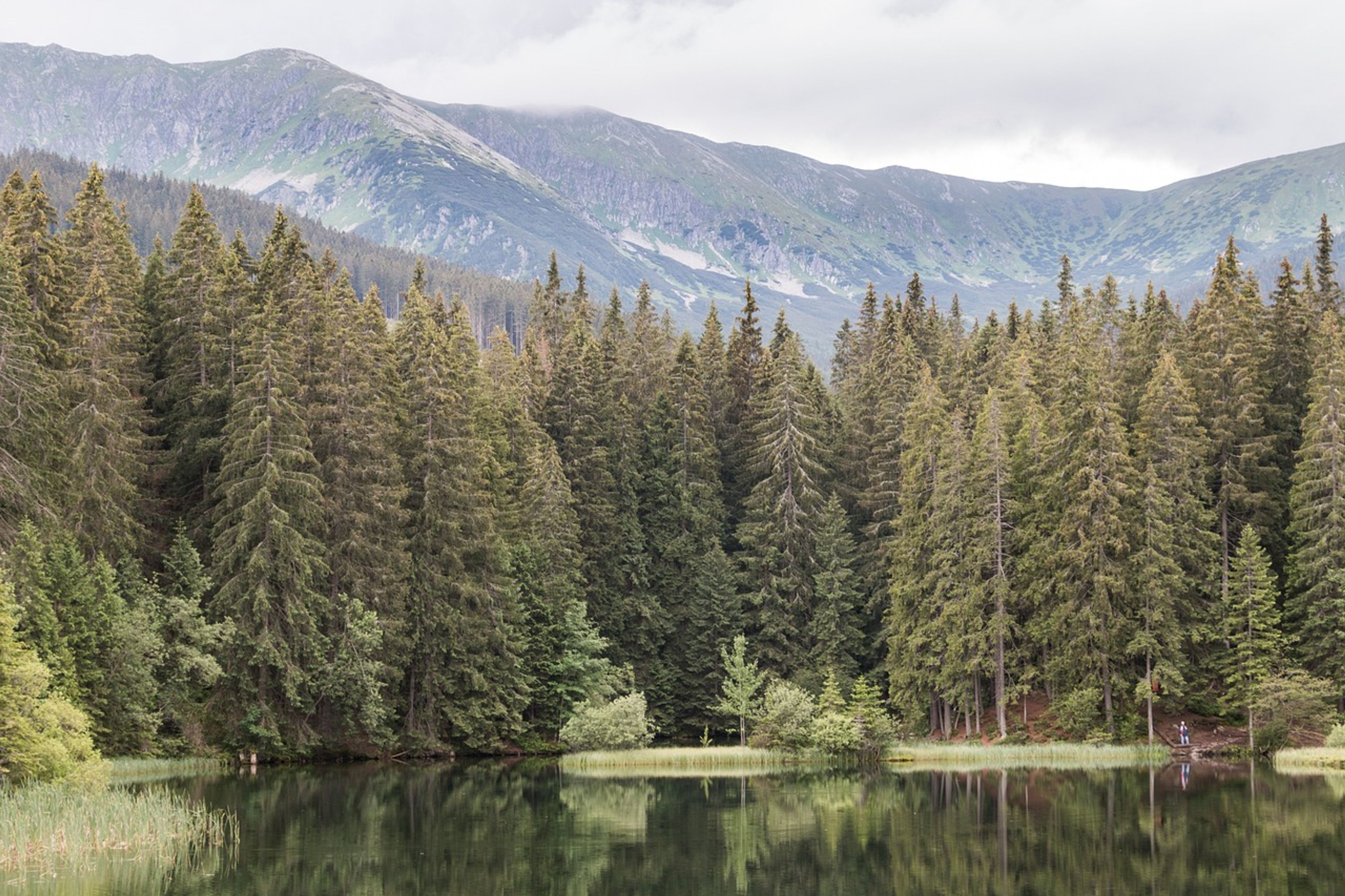 Vrbické pleso