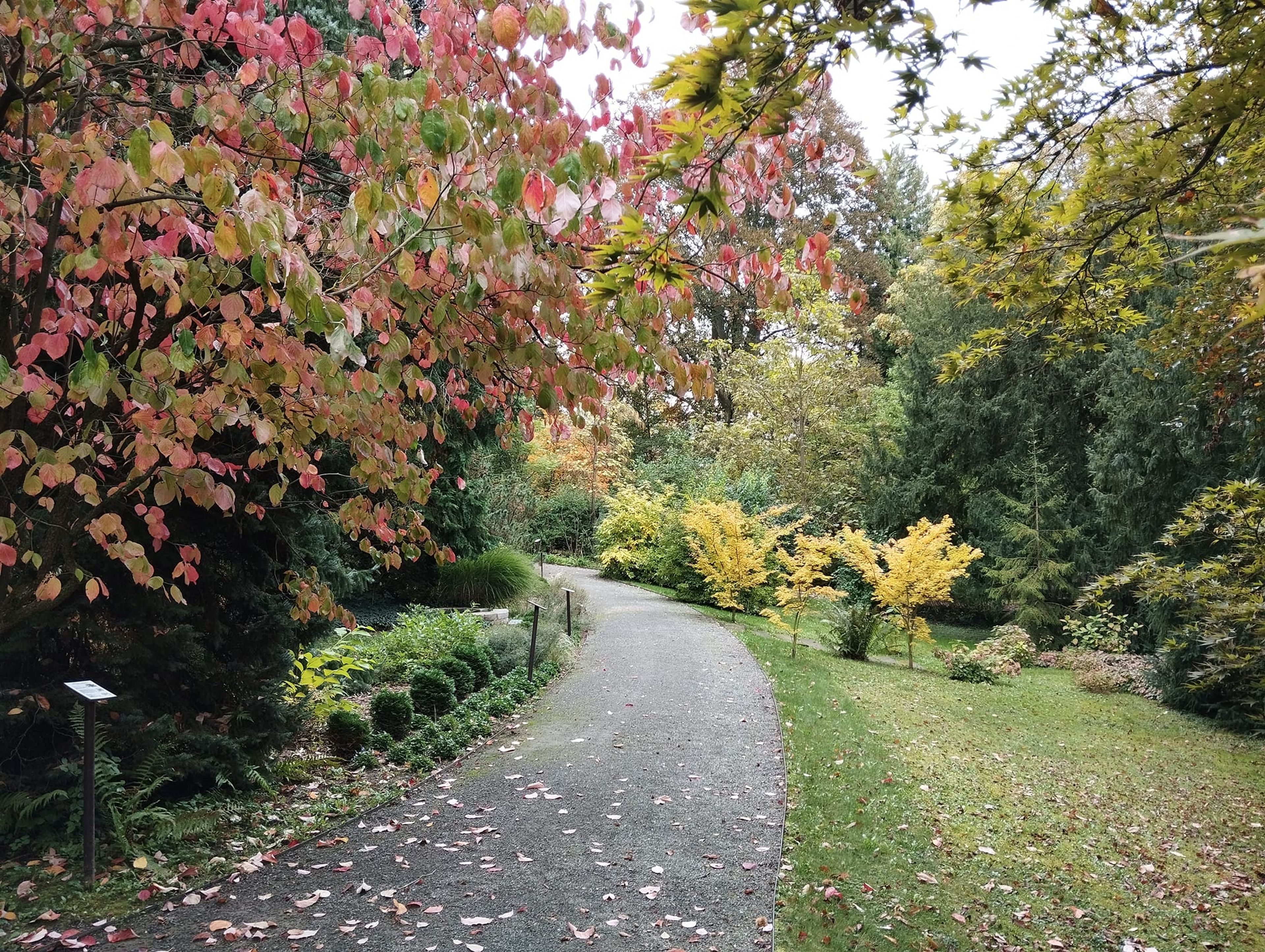 Foto: Arboretum Bílá Lhota