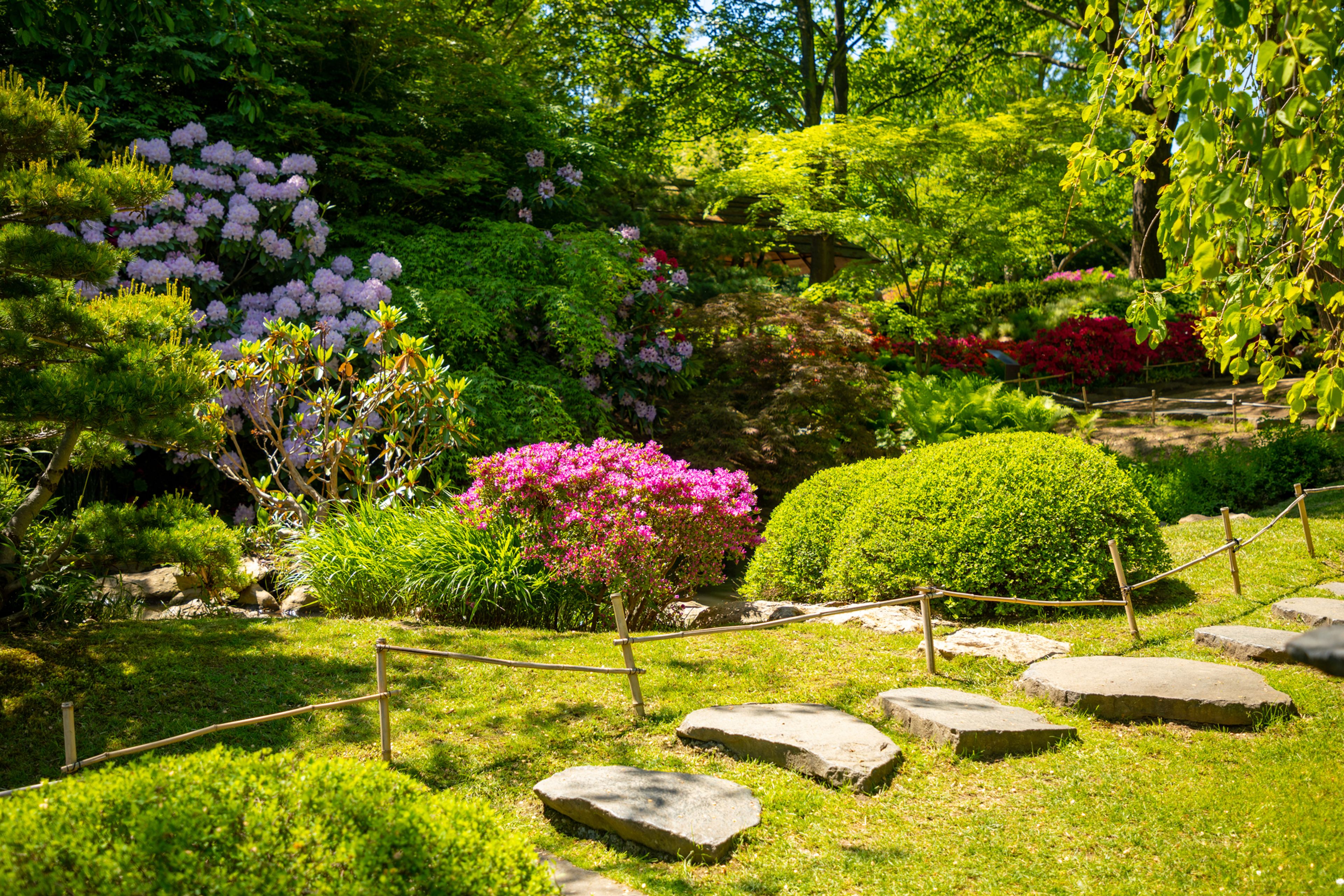 Foto: Botanická zahrada Praha