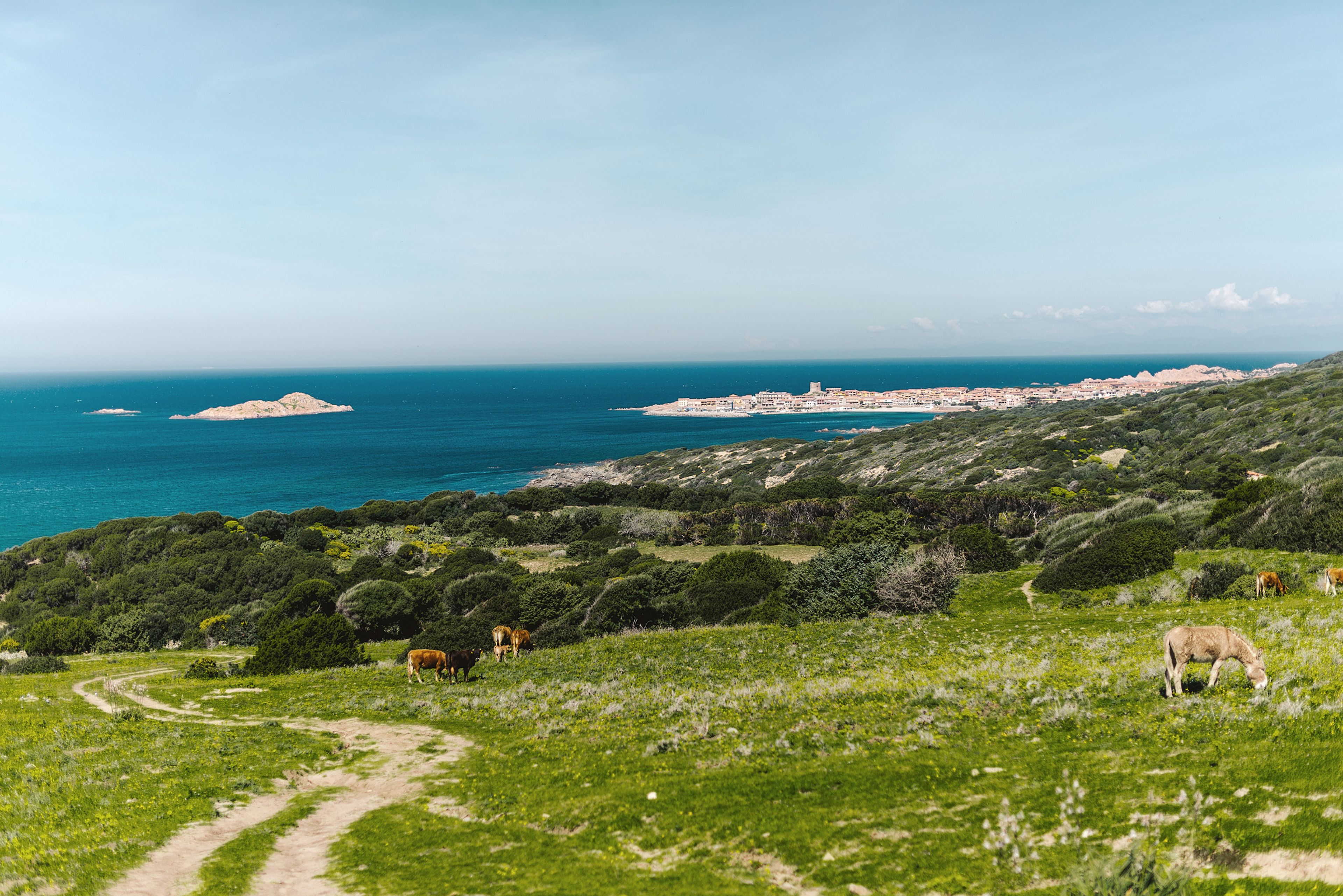 Sardinie nabízí krásnou přírodu.