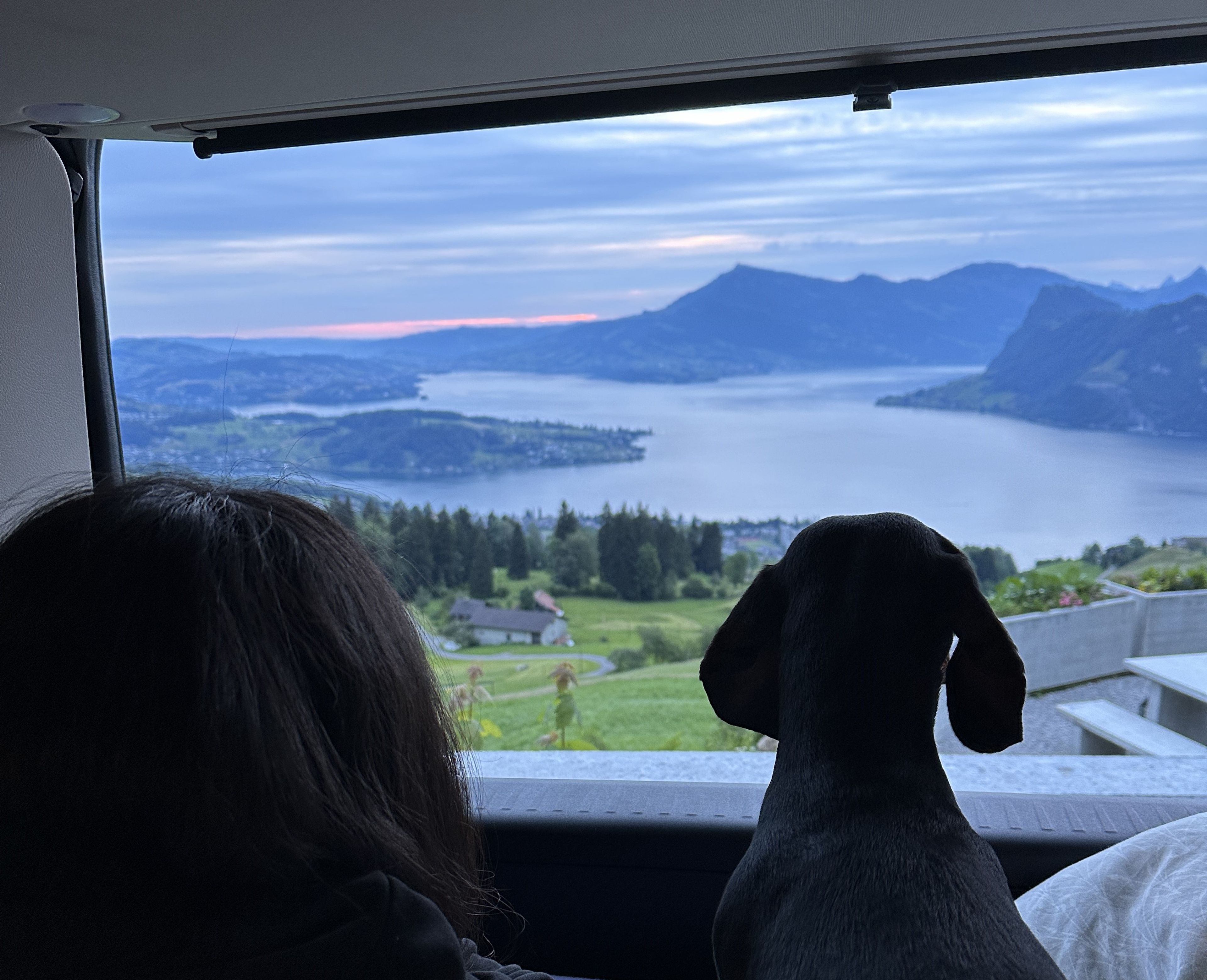 Die Aussicht aus dem Camper auf den Vierwaldstättersee ist sowohl für Mensch als auch Hund beeindruckend