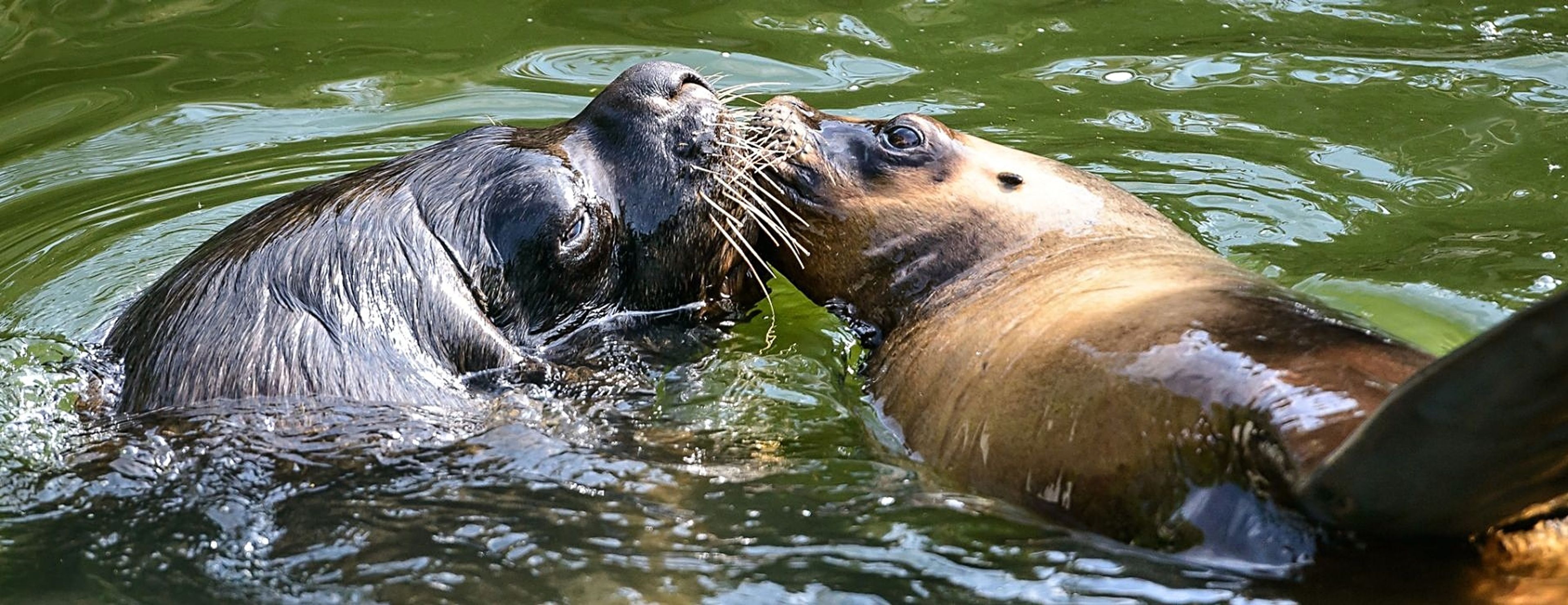 Foto: Zoo Zlín