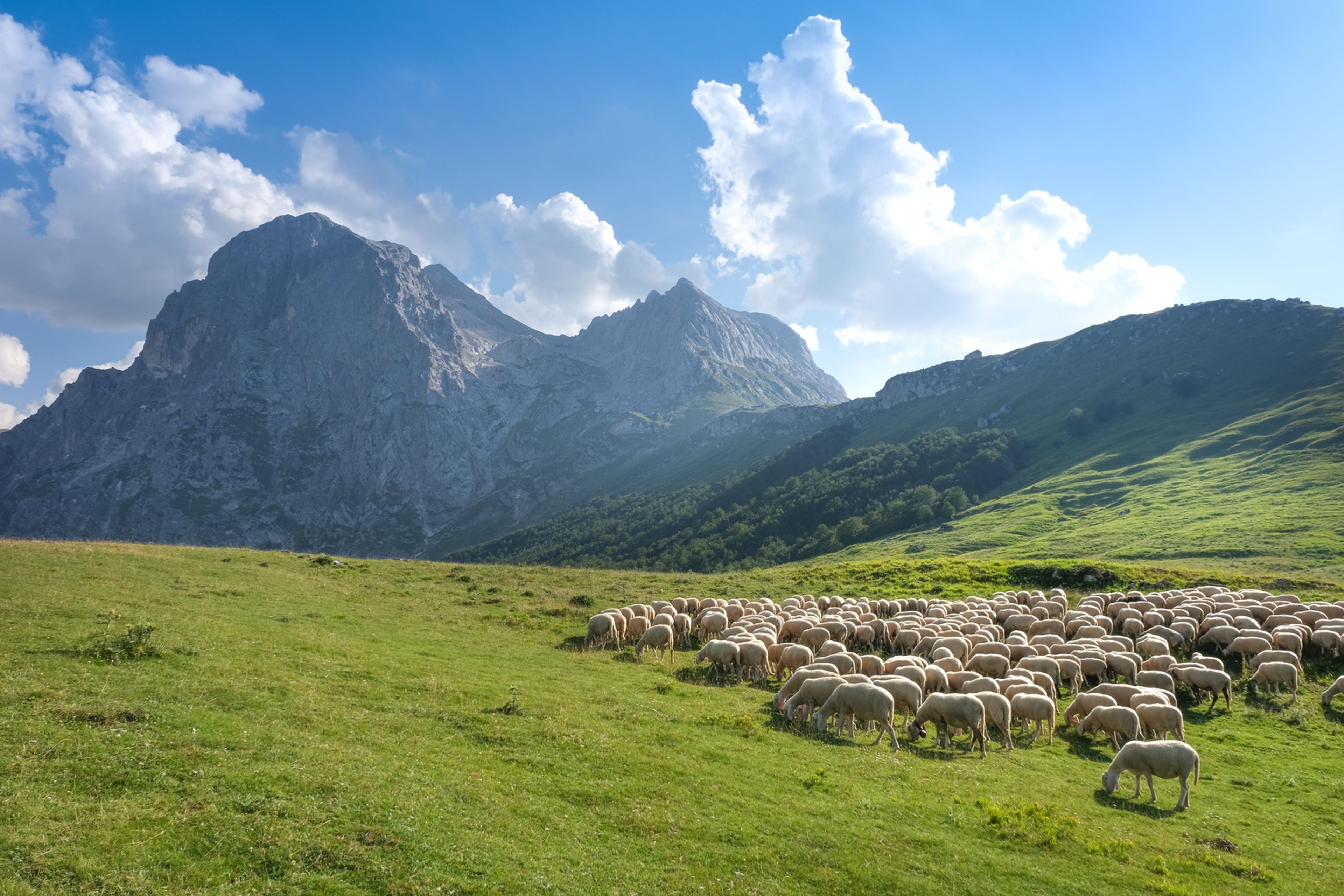 pastorizia in Abruzzo